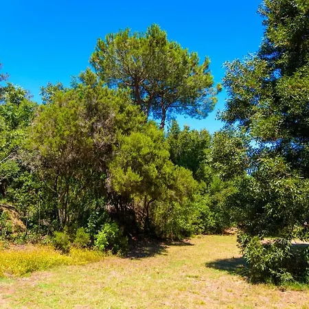 Villa Il Giardino Sul Mare Marciana (Isola d'Elba)