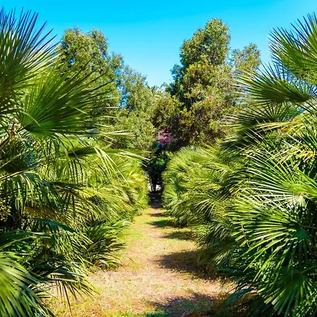 Il Giardino Sul Mare Villa Marciana (Isola d'Elba)